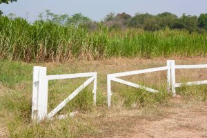 White fence along suburban property