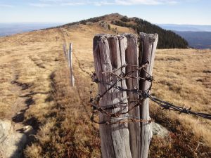 wood and barbwire fence on a rural area